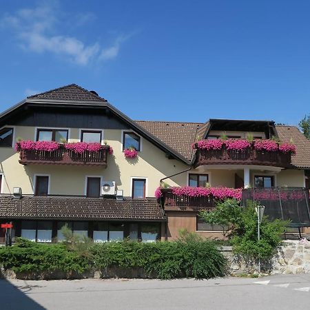 Hotel Gostilna Turk Hotedrsica Exteriér fotografie