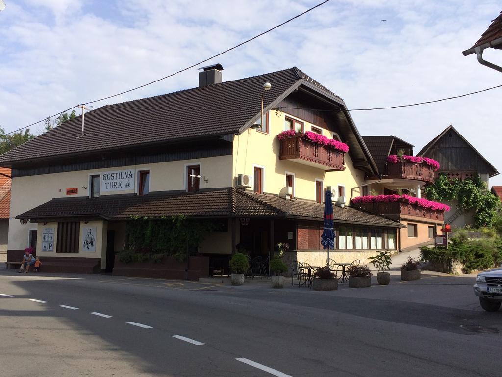 Hotel Gostilna Turk Hotedrsica Exteriér fotografie